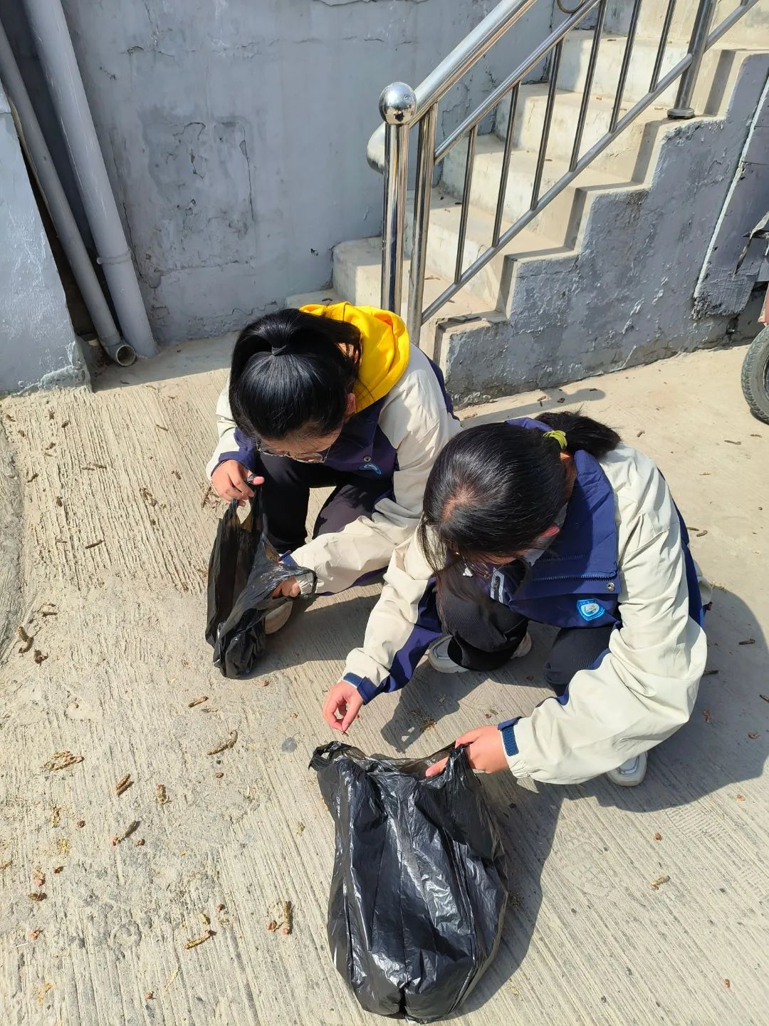 圖片